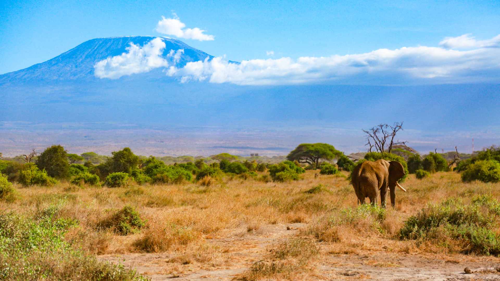 Classic Tanzania Safari