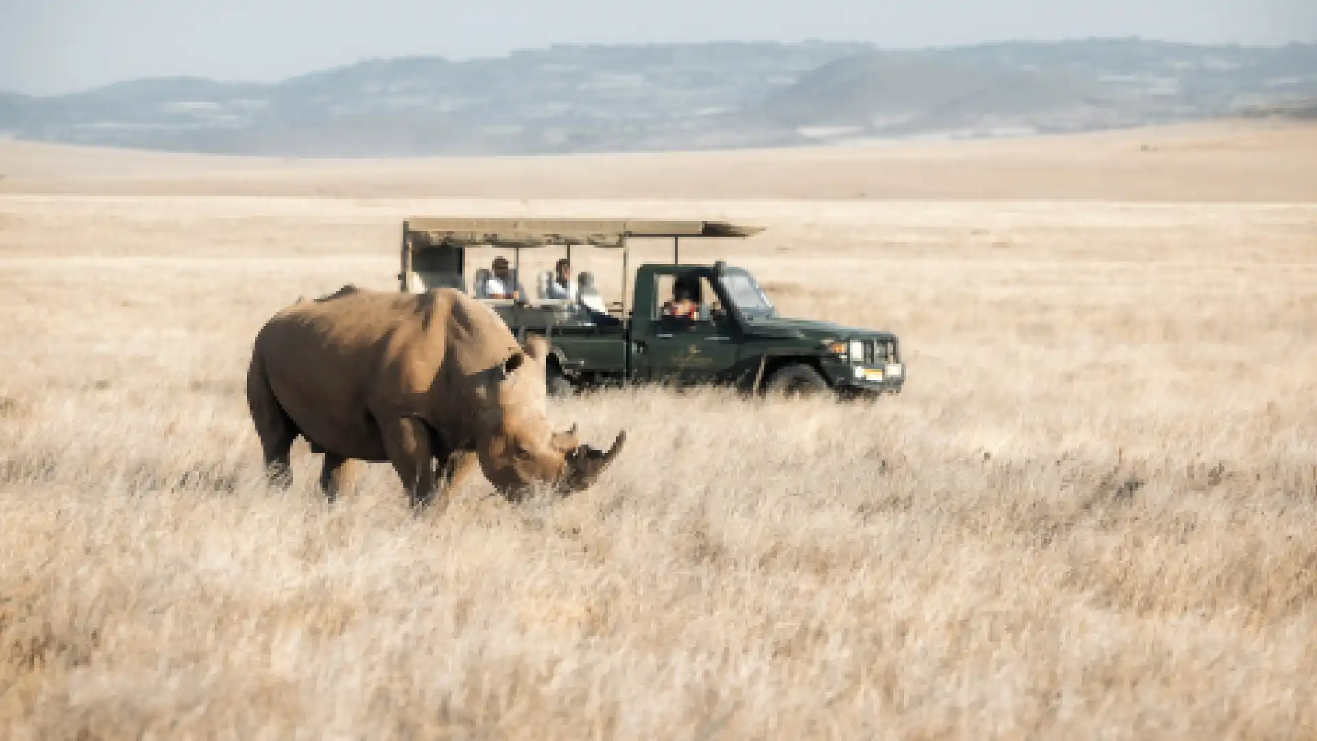 Lewa Wildlife Conservancy