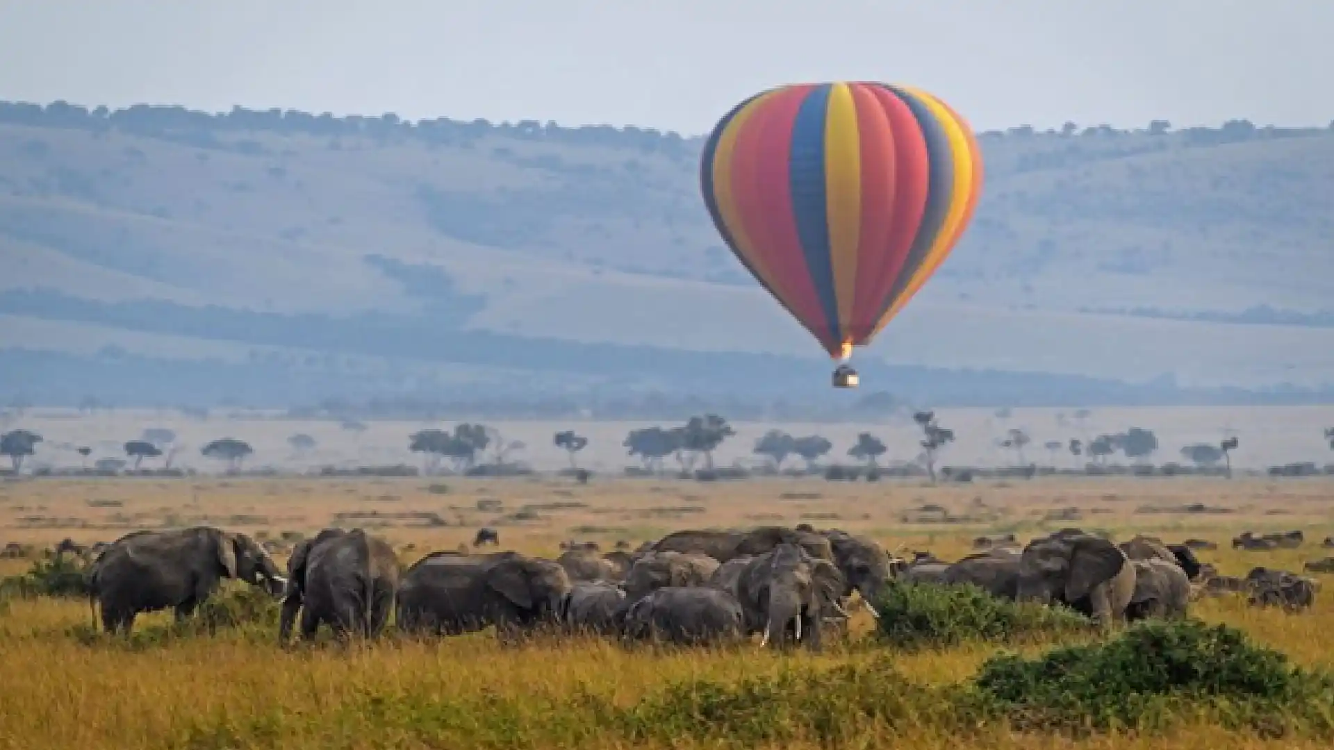 Maasai Mara national reserve
