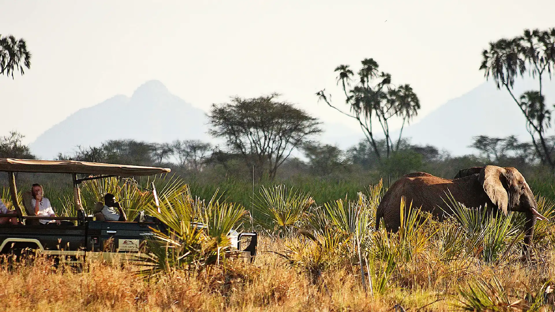 Meru National Park
