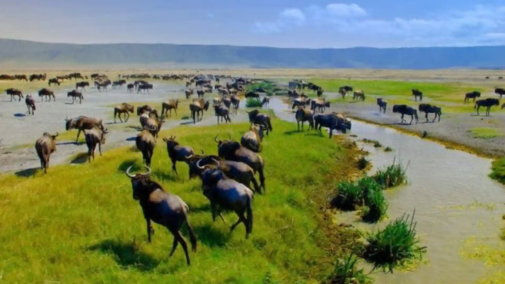 Ngorongoro Conservation Area