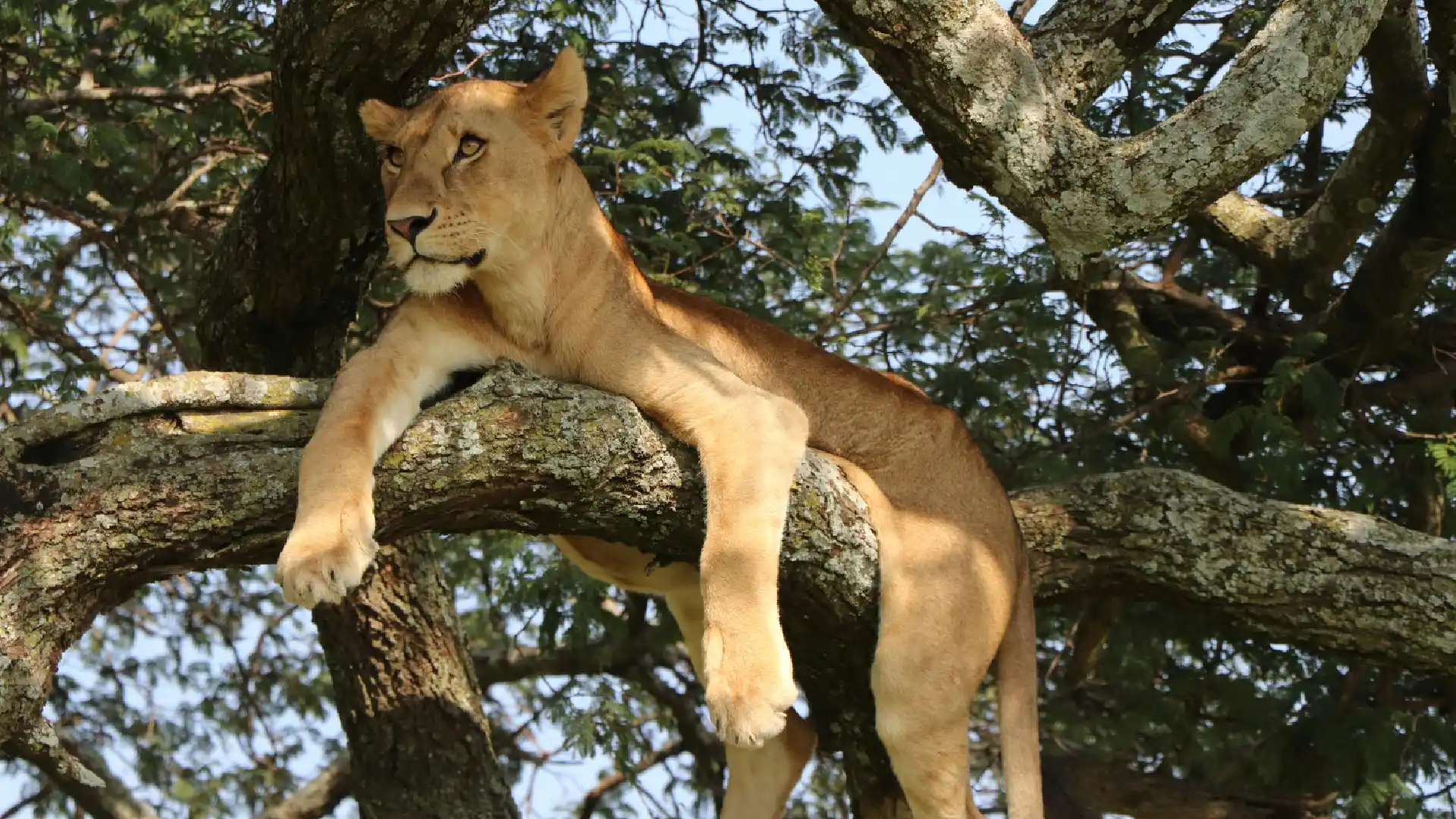 Olderkesi Conservancy